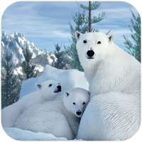 การอยู่รอดของครอบครัวหมีขั้วโลก
