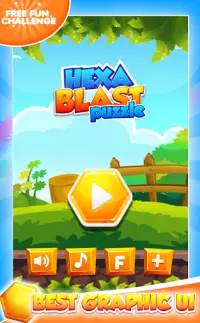 Hexa Blast Link - Hexagon Game Screen Shot 0