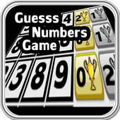 Guess Numbers