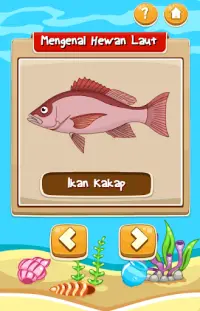 Game Anak Edukasi Hewan Laut Screen Shot 1