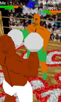 Teck Boxing 3D Screen Shot 4