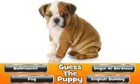 Guess The Puppy 2 Trivia Game Screen Shot 1