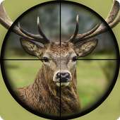 Jeux de chasse au cerf 3D - Animal Hunter 2020