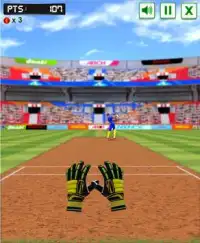 Cricket Fielder Challenge Screen Shot 2