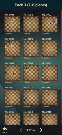 Chess Riddles Deluxe Screen Shot 2