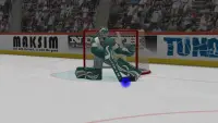 Virtual Goaltender Lite Screen Shot 0