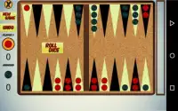 Backgammon Free Screen Shot 2