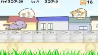 ねこらんにゃ～　無料の猫のランゲーム Screen Shot 1