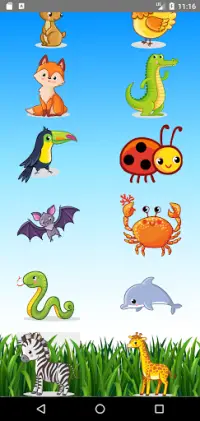 Learn Animals  Name, Sounds, Pictures Screen Shot 4