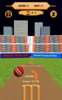 Bowled 3D - Cricket Game Screen Shot 12