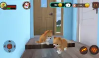 Pomeranian Dog Simulator Screen Shot 15