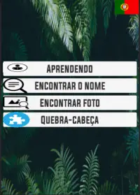 Aprendizagem de nomes de animais Screen Shot 5