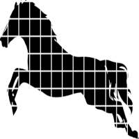 Paarden - Puzzel