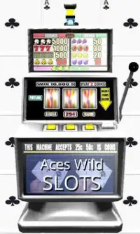 3D Aces Wild Slots - Free Screen Shot 0