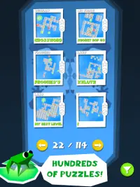 Frog Puzzle 🐸 Logic Puzzles & Brain Training Screen Shot 7