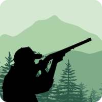 Quiz the rifle