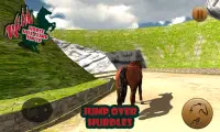 Wild Horse Hill Climb Sim 3D Screen Shot 0