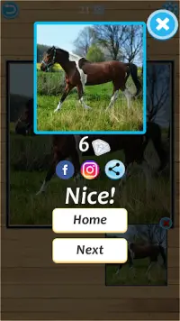 Horse Jigsaw Puzzle Screen Shot 6