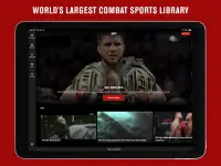 UFC Screen Shot 8