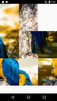 Rompecabezas pájaros encantadores Screen Shot 0