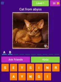 Cat Lovers Guess The Cat Game Screen Shot 7