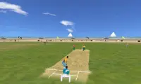 Beach Cricket Screen Shot 2