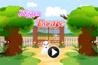 Escape Game-Kitten Escape Screen Shot 0