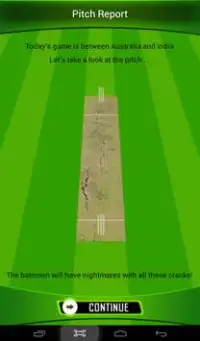 The Best Cricket Game Ever Screen Shot 11