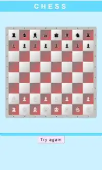 Chess Board Master Screen Shot 0