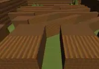 The Big Maze 3D Screen Shot 2