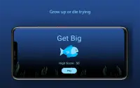 Get Big: Fishy Game Screen Shot 0