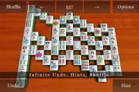 Mahjong Solitaire Saga Screen Shot 3