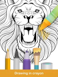 2020 for Animals Coloring Books Screen Shot 10