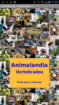 Animalandia Vertebrados 1 Screen Shot 0