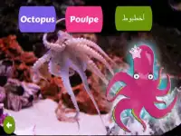تعليم أسماء الحيوانات للأطفال Screen Shot 4