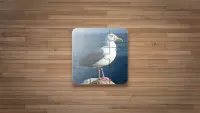 Giochi Puzzle di Uccelli Screen Shot 0