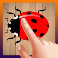 Insect Crush | Bug Smasher 2020