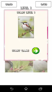 Cute Birds Puzzle Game Screen Shot 1