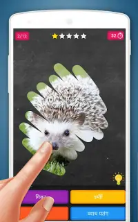 स्क्रैच कार्ड: जानवरों Screen Shot 1