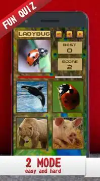 Fun Learn Animals Screen Shot 3