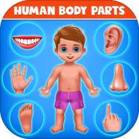 人間の体の部分-就学前の子供たちの学習