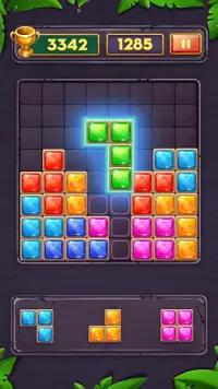 Block Puzzle - Funny Brain Free Game Screen Shot 1