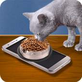 Food for Cat Simulator