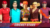 Cricket Clash Live - 3D Real C Screen Shot 0