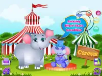 Elefante giochi nascita animal Screen Shot 7