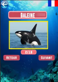 Apprentissage des noms d'animaux Screen Shot 6