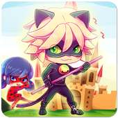 Cat Noir Miraculous Adventure