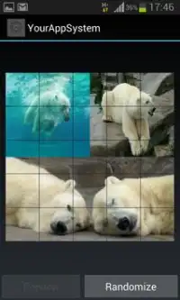 Free Polar Bear Games Screen Shot 3
