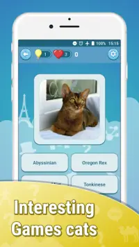 Kittens Cute Cats Quiz Question Free Games ❓🐱⁉️🐾 Screen Shot 7