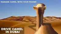 Fahren Sie Kamel in Dubai Screen Shot 1